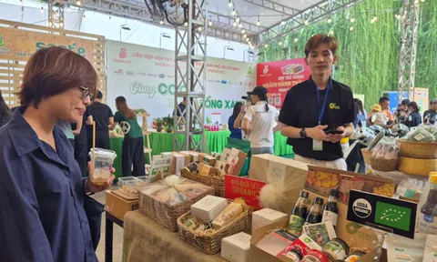 Không lo thiếu hàng Tết