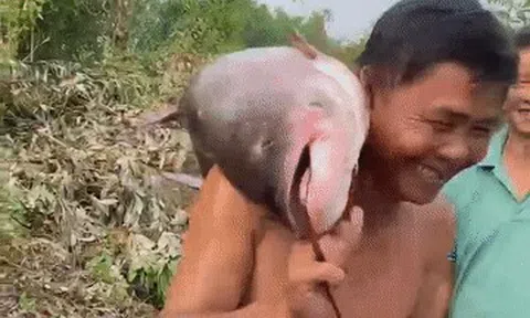 Ngày hiếm có trong năm, hàng trăm người đổ về hồ Trị An săn cá khủng