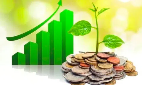 Lịch chốt quyền cổ tức 8/12– 12/12: "Vua bút bi" Thiên Long, SSI chuẩn bị lăn chốt