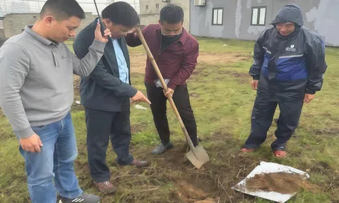 Giun đất bò kín sân vườn, chết bất thường ở Quảng Trị: Lấy mẫu đất, nước tìm nguyên nhân