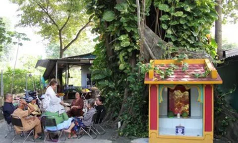 Chuyện kì bí về cây mít nài trăm tuổi ở ngôi miếu nổi tiếng TPHCM