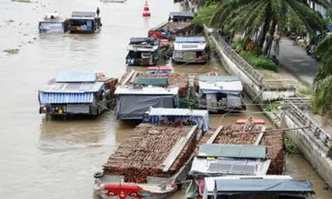 Khu chợ đặc biệt ở miền Tây, hàng chục ghe cập bến chỉ bán 1 mặt hàng