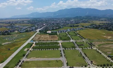 Hà Tĩnh: Gần 50 lô đất 10 năm ế ẩm bất ngờ trúng đấu giá cao gây 'sốc'