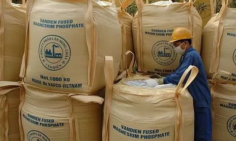 Phân lân Văn Điển không còn đáp ứng điều kiện công ty đại chúng