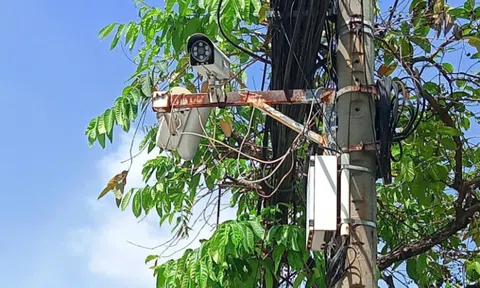 Đã sửa camera hư