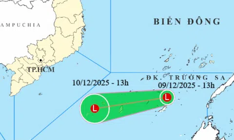 Áp thấp hình thành ở Nam Biển Đông, vùng biển Khánh Hòa - Cà Mau gió mạnh, sóng cao