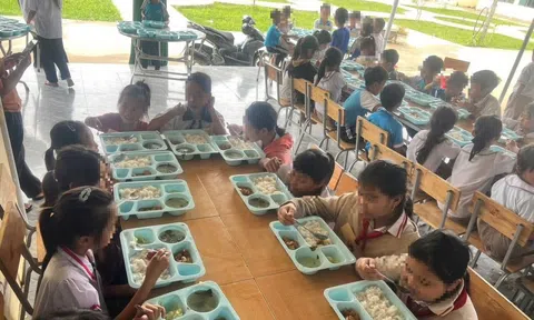 Nhiều trường học lo lắng khi Dự án "Nuôi em" tạm ngừng hoạt động