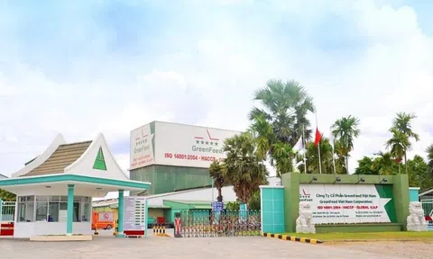 Lợi nhuận GreenFeed tăng vọt, dẫn đầu nhóm doanh nghiệp chăn nuôi
