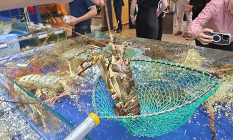 Xuất khẩu tôm lập kỷ lục