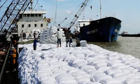 Senegal tạm ngừng nhập khẩu gạo 1 tháng