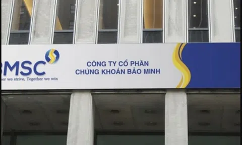 Danh tính 5 doanh nghiệp dự kiến mua hơn 48 triệu cổ phiếu “ế” của BMS