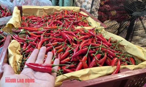 Khó tin: Việt Nam chi hơn 23 triệu USD để nhập khẩu ớt