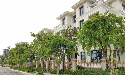 Tin vui cho người mua bán bất động sản và cho thuê nhà