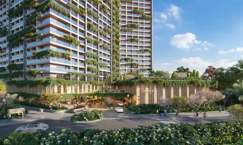 Dưỡng sinh hiện đại - khi công nghệ và y học tích hợp trong một căn hộ