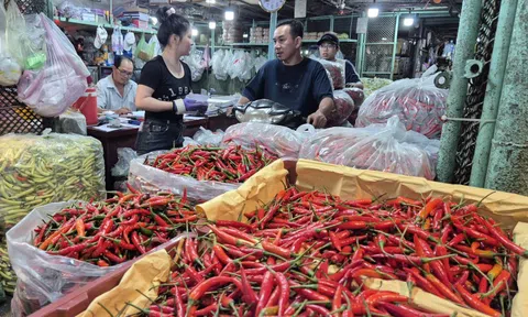 Lý do Việt Nam chi 23,5 triệu USD để nhập khẩu ớt