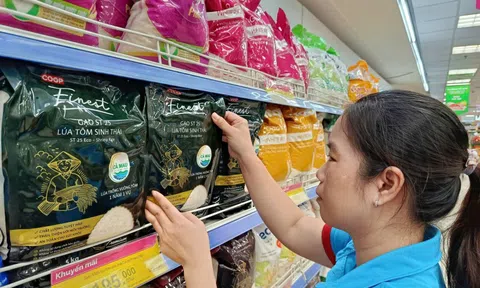 Hàng nhãn riêng Saigon Co.op là hàng Việt được người tiêu dùng yêu thích nhất năm 2025