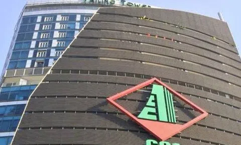 CC1 được cấp hạn mức tín dụng hơn 7.700 tỷ đồng