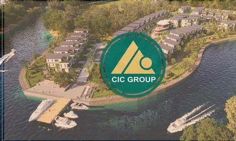 Cuối năm, hàng loạt công ty trên sàn chứng khoán thay đổi nhân sự chủ chốt