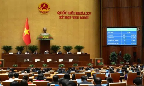 Miễn, giảm thuế cho doanh nghiệp sản xuất ô tô điện tại khu thương mại tự do Đà Nẵng