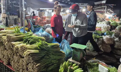 Đèo Prenn Đà Lạt sạt lở ảnh hưởng thế nào đến giá rau củ ở TPHCM?