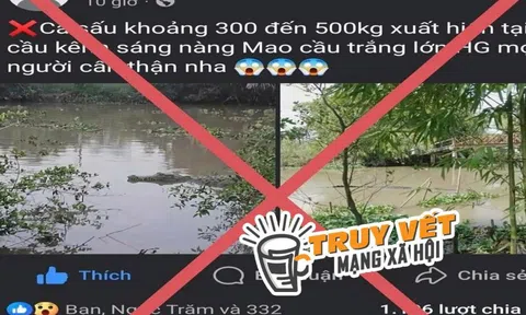 Bác bỏ thông tin lan truyền "cá sấu nặng khoảng 200-500 kg xuất hiện trên sông ở TP Cần Thơ"