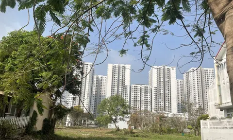 Người trẻ vẫn quyết tâm mua nhà dù giá cao kỷ lục