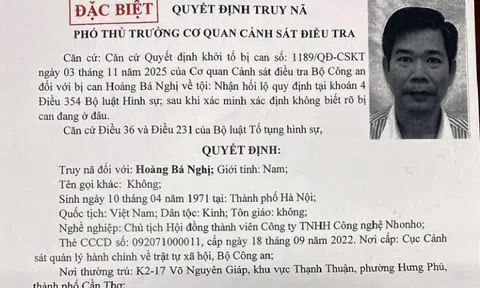 Bộ Công an truy nã đặc biệt Hoàng Bá Nghị, Chủ tịch Công ty NhoNho
