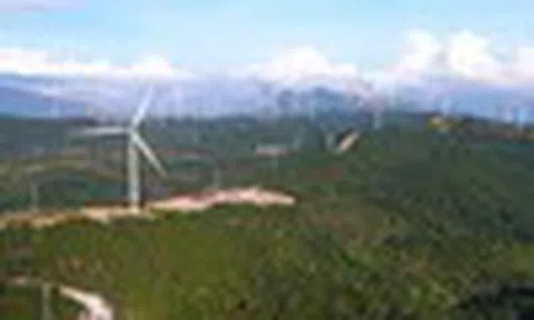 Cổ phiếu cần quan tâm ngày 12/12