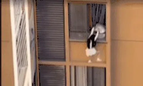 Vợ bất ngờ trở về, chồng đẩy nhân tình ra ngoài cửa sổ tầng 10 để chạy trốn