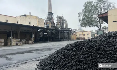 Phân lân Văn Điển đứng trước nguy cơ hủy niêm yết