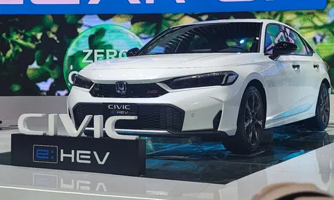 Xe hybrid tại Việt Nam - cuộc chiến riêng của ôtô Nhật Bản