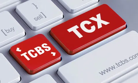 TCBS trình cổ đông phê duyệt khoản vay 50 triệu USD, phát hành cổ phiếu ESOP