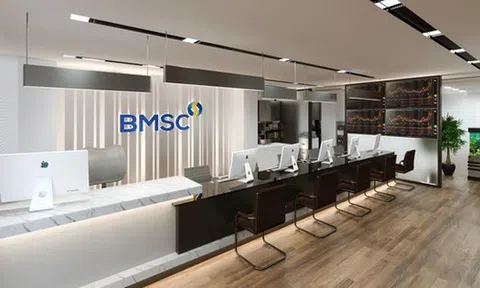 Chứng khoán Bảo Minh muốn tiếp tục triển khai niêm yết trên HoSE, bầu bổ sung nhân sự