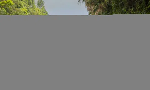 Xe xăng dưới 400 triệu - Kia Morning, Hyundai Grand i10 sẽ thế nào?