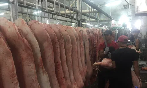 Giá heo hơi hôm nay, 13-12: Thịt heo tại chợ cũng tăng vọt