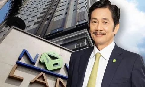 Novaland sẽ phát hành 163,6 triệu cổ phiếu hoán đổi khoản nợ của 2 doanh nghiệp liên quan Chủ tịch Bùi Thành Nhơn