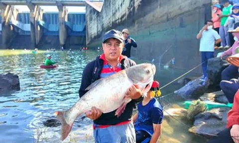 Dân khắp nơi đổ về hồ Trị An bắt cá, có người 'ẵm' cá mè hoa 18kg