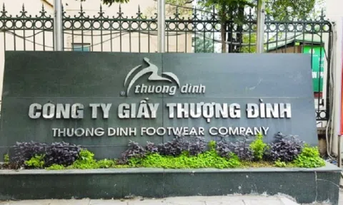 Trả gấp 10 lần giá khởi điểm, 2 nhà đầu tư ôm trọn 69% cổ phần Giầy Thượng Đình