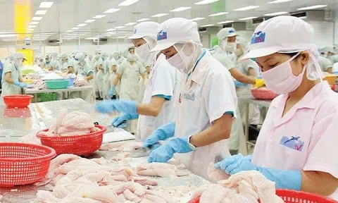 "Vua cá tra" khép lại hành trình trên sàn chứng khoán