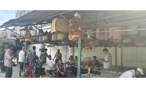 Nỗi lòng người nuôi chim cảnh