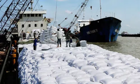 Senegal tạm ngừng nhập khẩu gạo 1 tháng