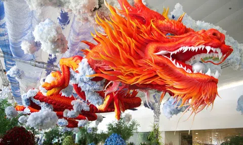 Biểu tượng rồng thiêng đỏ rực tại sân bay Nội Bài