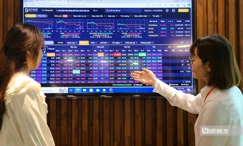 VN-Index hồi phục kỹ thuật, khuyến nghị thăm dò cổ phiếu chăn nuôi và dầu khí