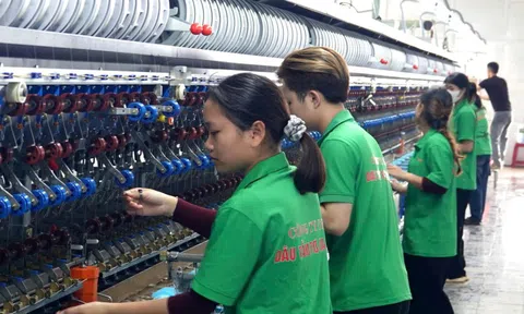 Doanh nghiệp sau lũ lụt lịch sử: Nỗ lực phục hồi để có thưởng Tết