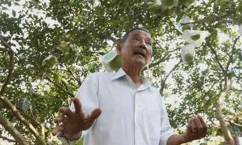 Công nghệ giúp người nông dân ở TPHCM "đổi đời"