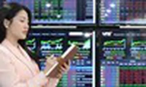 PYN Elite: Mục tiêu VN-Index 3.200 điểm có thể đạt được trong 3 năm tới