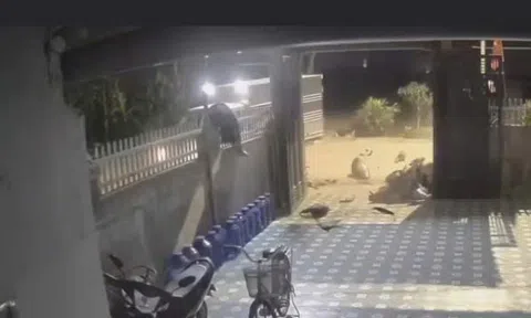 VIDEO: Tông vào xe tải, nam thanh niên đi trên xe máy bị hất văng lên hàng rào nhà ven đường