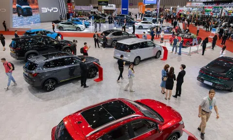 Những mẫu xe quen thuộc thống trị doanh số các phân khúc