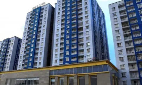 Doanh nghiệp 'họ' CII mua vào gần 10 triệu cổ phiếu NBB