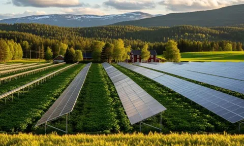 Nhà máy điện mặt trời nông nghiệp 46 MW: Bước ngoặt quan trọng cho quốc gia Bắc Âu